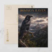 Carte Postale Zone sauvage de Common Raven Mountain FAUNE (Devant / Derrière)