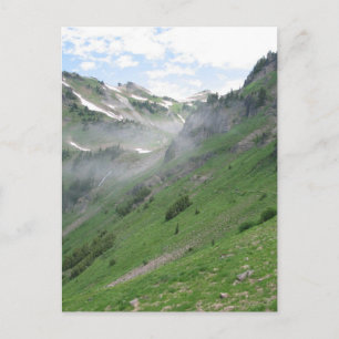 Carte Postale Zone sauvage de Goat Rocks