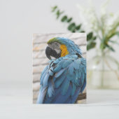 Carte Postale Zoo Audubon (Debout devant)