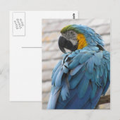 Carte Postale Zoo Audubon (Devant / Derrière)
