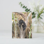 Carte Postale Zoo Audubon (Debout devant)