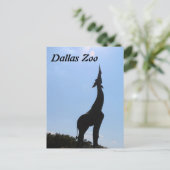 Carte Postale Zoo de Dallas (Debout devant)