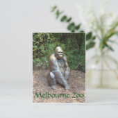 Carte Postale Zoo de Melbourne Gorilla (Debout devant)