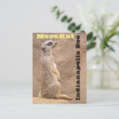 Carte Postale Zoo de Merekat Indianapolis (Debout devant)