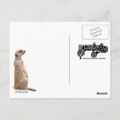 Carte Postale Zoo de Merekat Indianapolis (Dos)