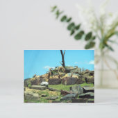 Carte Postale Zoo de Philadelphie (Debout devant)