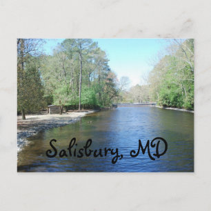 Carte Postale Zoo de Salisbury, MD
