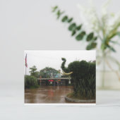 Carte Postale Zoo de San Diego (Debout devant)