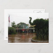 Carte Postale Zoo de San Diego (Devant / Derrière)