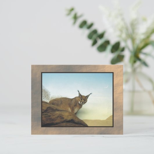 Carte Postale zoo lynx 2 (Debout devant)