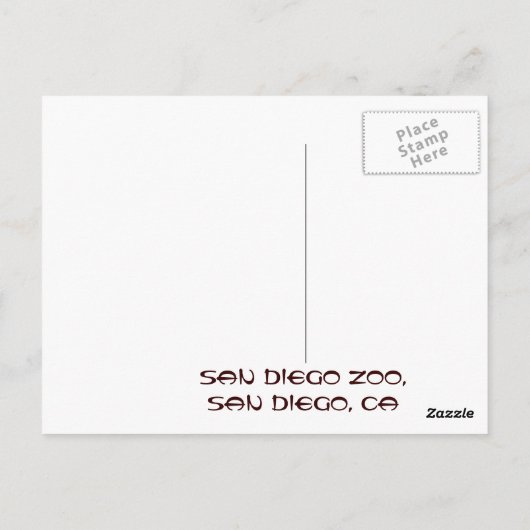 Carte postale Zoo Panda San Diego (Dos)