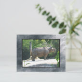 Carte Postale zoo rino (Debout devant)