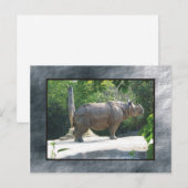 Carte Postale zoo rino (Devant / Derrière)
