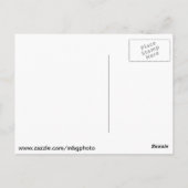 Carte Postale Zoo Saint-Louis (Dos)