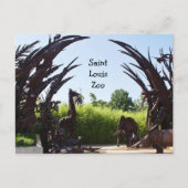 Carte Postale Zoo Saint-Louis (Devant)