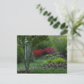 Carte Postale Zoo Saint-Louis 2009 (Debout devant)