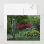 Carte Postale Zoo Saint-Louis 2009 (Devant / Derrière)