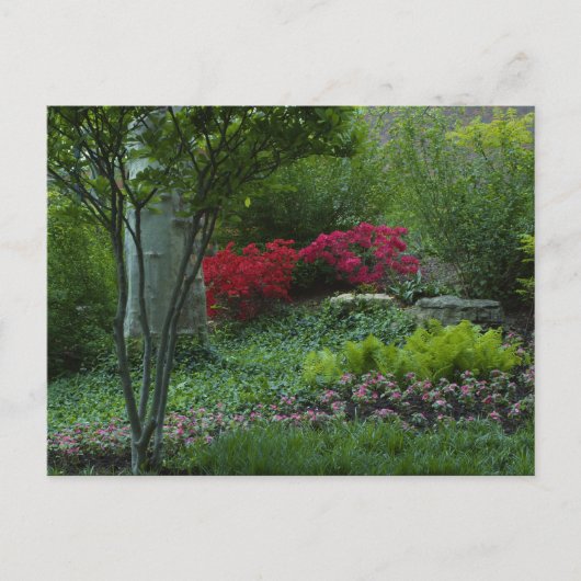 Carte Postale Zoo Saint-Louis 2009 (Devant)