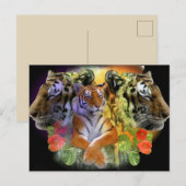 Carte Postale zoo Tiger Symmetry (Devant / Derrière)