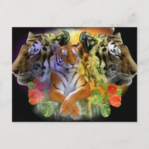 Carte Postale zoo Tiger Symmetry