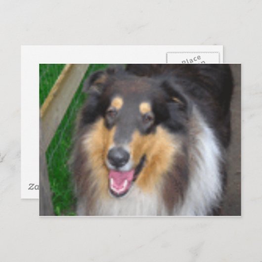 Carte Postale zorro (Devant / Derrière)