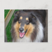 Carte Postale zorro (Devant)