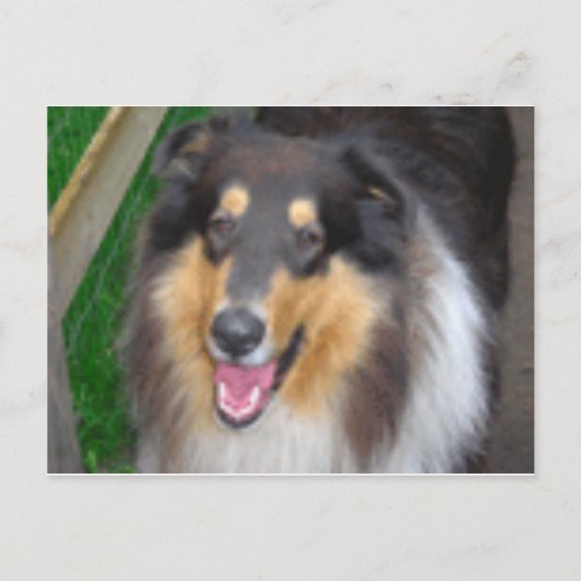 Carte Postale zorro (Devant)