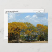 Carte Postale Zoua jaune sur la colline San Fernando (Devant / Derrière)