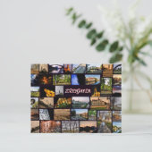 Carte Postale Zrenjanin (Debout devant)