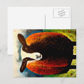 Carte Postale Zwartbles (Devant / Derrière)
