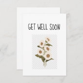 Carte PostCard 3,5 po x 5 po (Devant / Derrière)