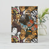 Carte Poster de animal. Ailes papillons. (Debout devant)