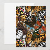 Carte Poster de animal. Ailes papillons. (Devant / Derrière)