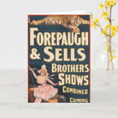 Carte Poster Du Cirque Tigre Et Femme À Cheval (Fleur jaune)