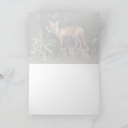 Carte Poster Red Fox (Intérieur)