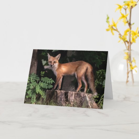 Carte Poster Red Fox (Fleur jaune)