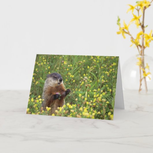 Carte Pot de marmotte (Fleur jaune)