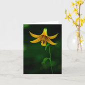 Carte Pot Star (Fleur jaune)