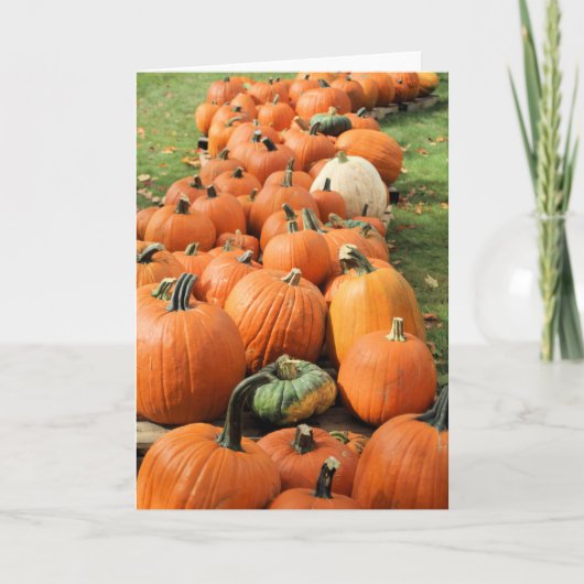 Carte Potager de citrouilles (Devant)
