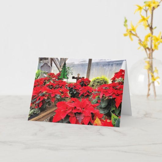 Carte Potsé (Fleur jaune)