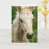 Carte Poulain d'anniversaire (Fleur jaune)