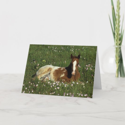 Carte Poulain d'Appaloosa fixant en fleurs (Devant)