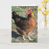 Carte Poule de Welsummer au soleil (Fleur jaune)