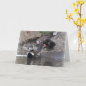 Carte Poule d'eau avec le jeune et les poussins (Fleur jaune)