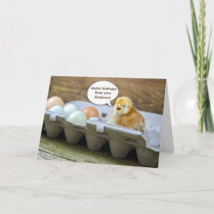 Carte poule et oeufs en boîte pour l'anniversaire de pap