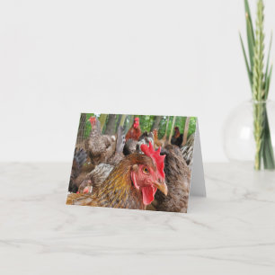 Carte Poulet