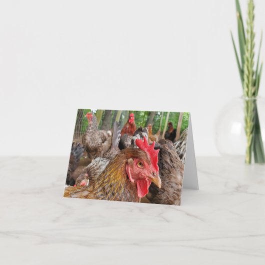 Carte Poulet (Devant)