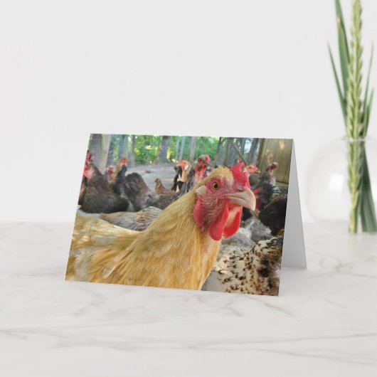 Carte Poulet (Devant)