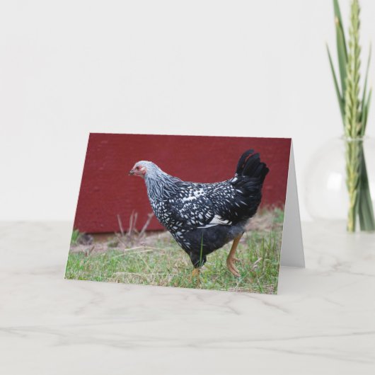 Carte Poulet ! (Devant)