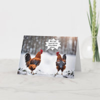 Poulet Dans La Neige Humour Anniversaire